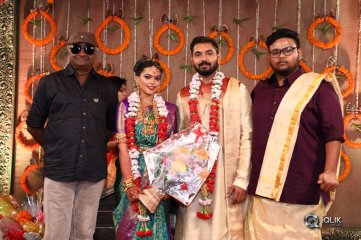 Parthiban and Seetha Daughter Keerthana Wedding Photos